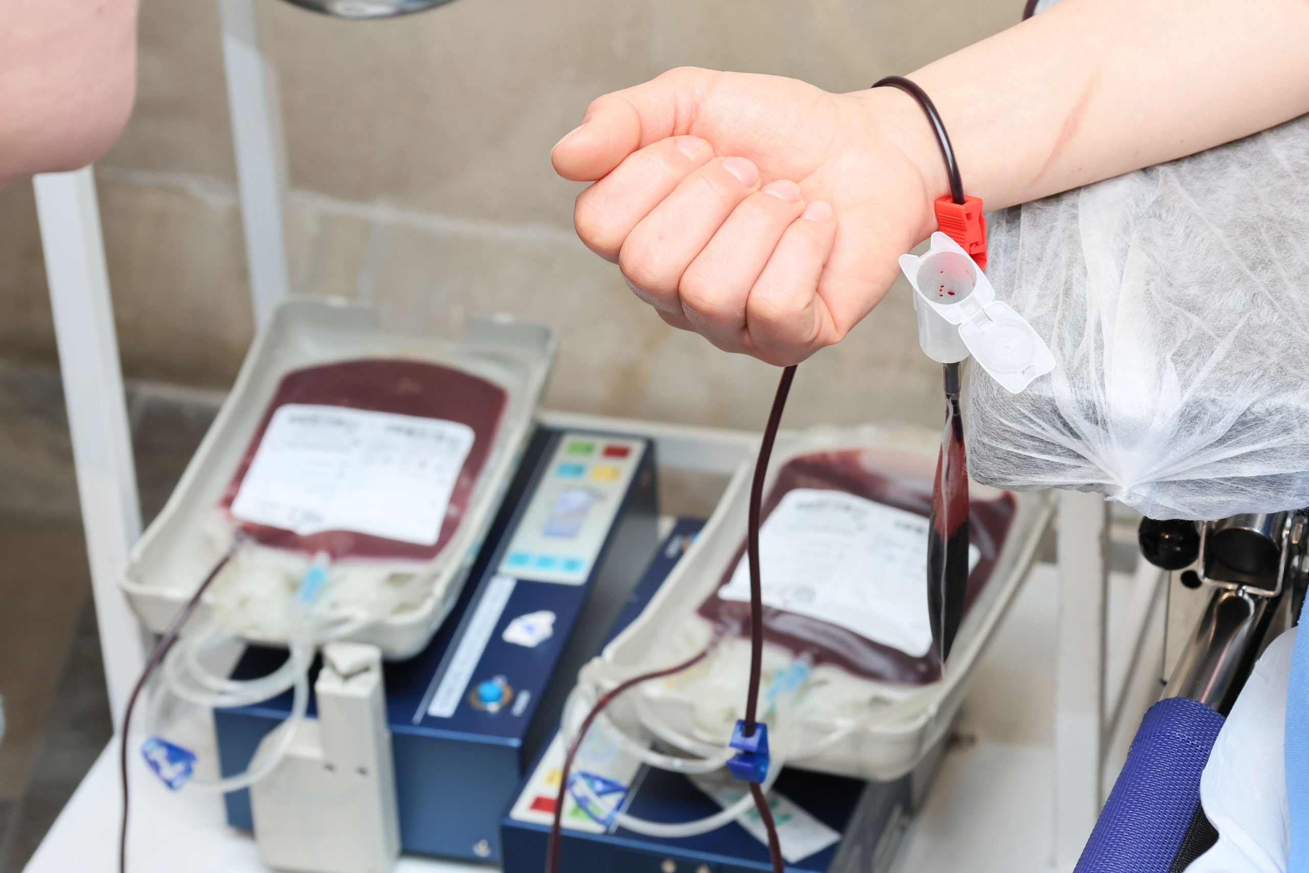 Bras de donneur et poches de sang en clinique