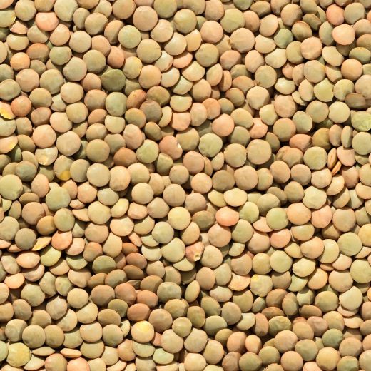 Manger des lentilles pour maigrir, ça marche vraiment ?