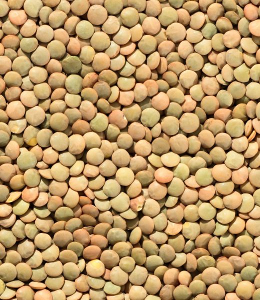 Manger des lentilles pour maigrir, ça marche vraiment ?
