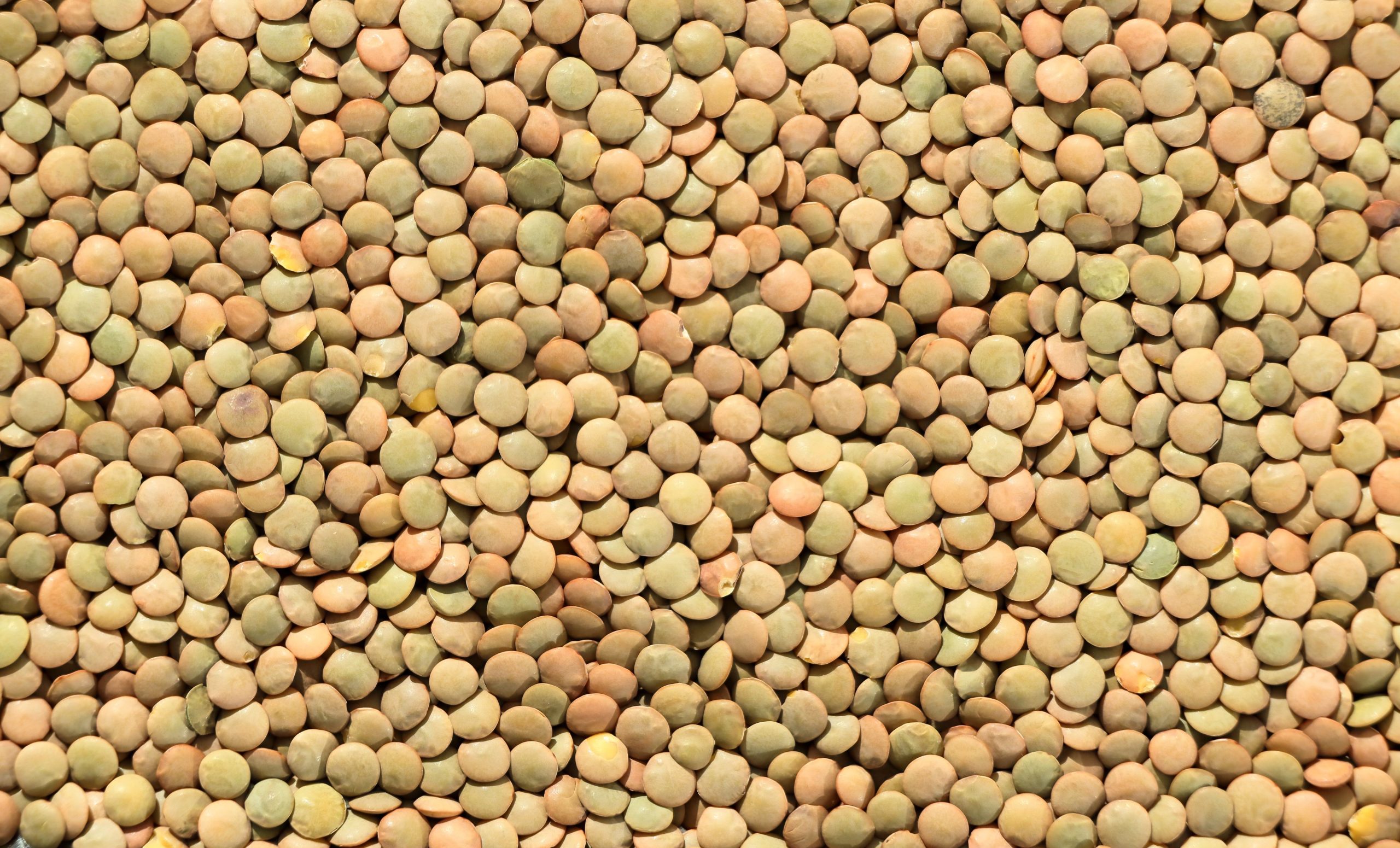 Manger des lentilles pour maigrir efficace