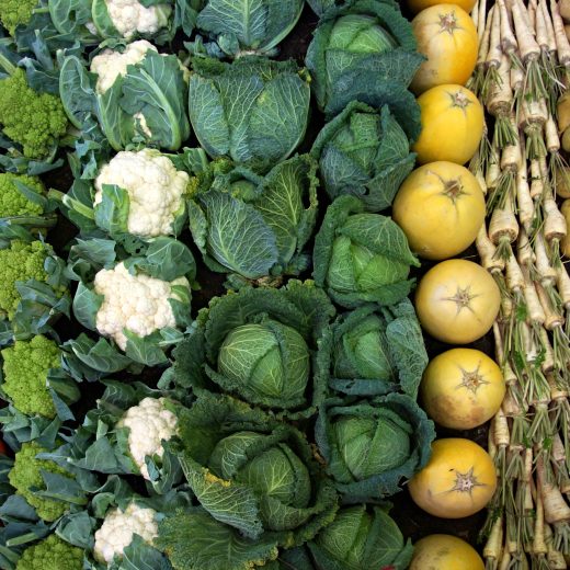 Constipé, quels aliments manger pour aller mieux vite ?