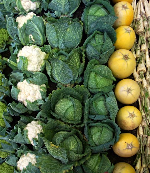 Constipé, quels aliments manger pour aller mieux vite ?