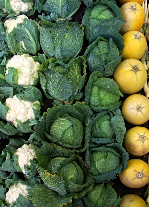 Constipé, quels aliments manger pour aller mieux vite ?