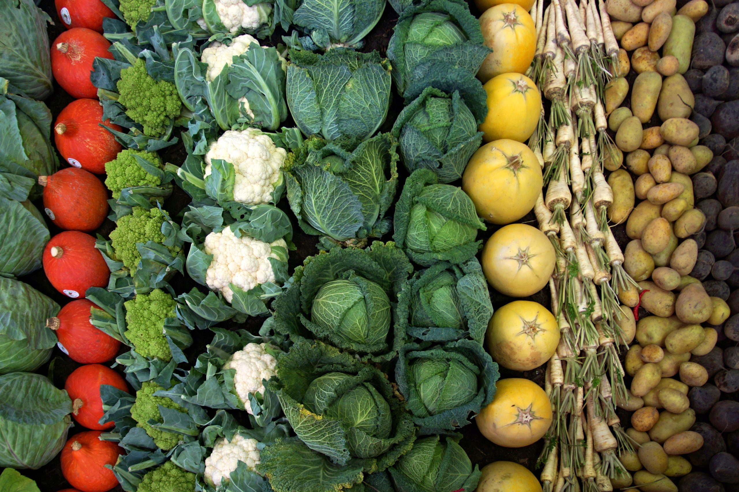 Constipé, quels aliments manger pour aller mieux vite ?