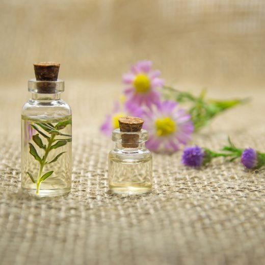 Comment utiliser l&rsquo;huile essentielle de ravintsara ?