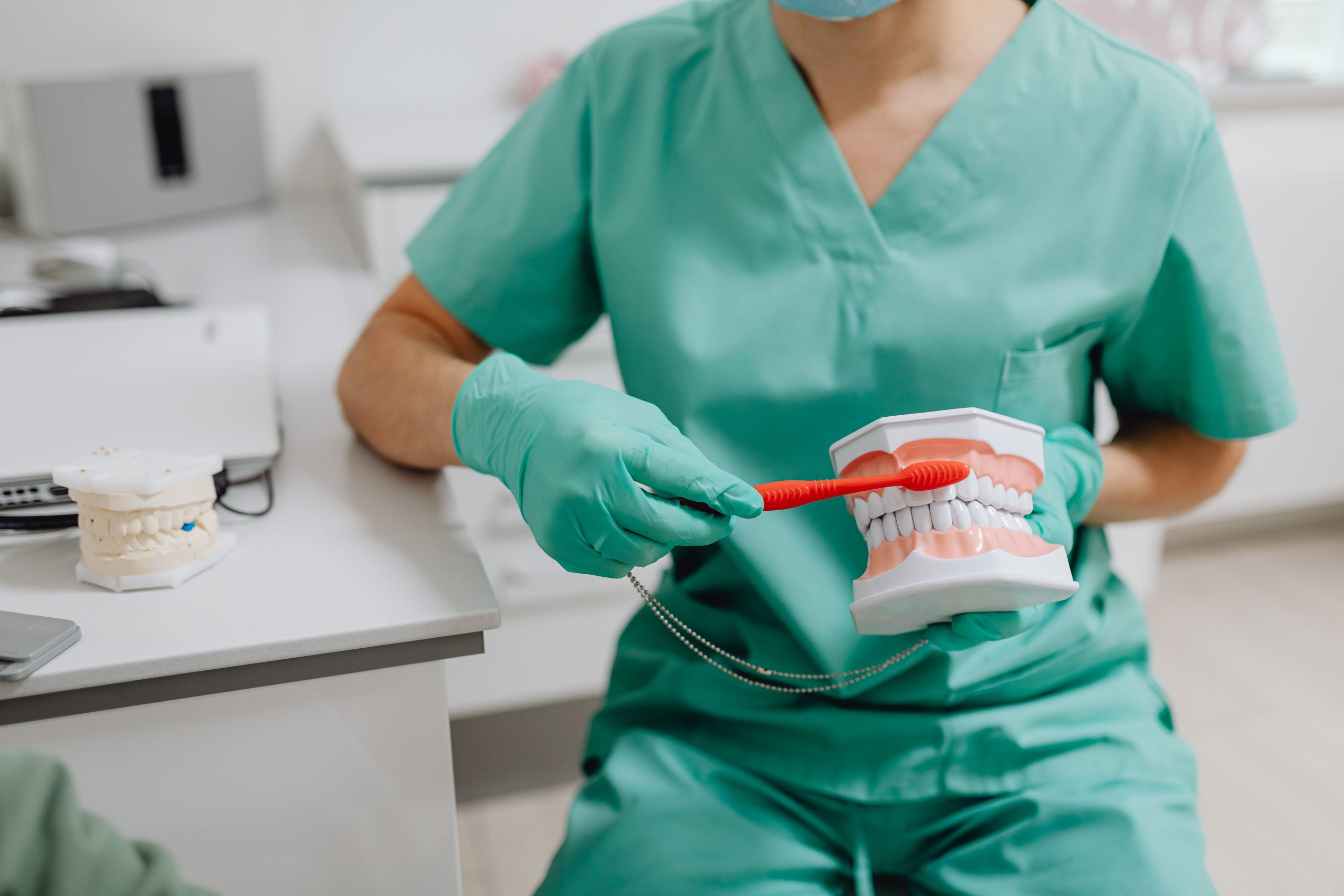 Professionnel montrant la technique de brossage sur un modèle dentaire